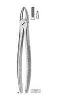 Extracting forceps Fino